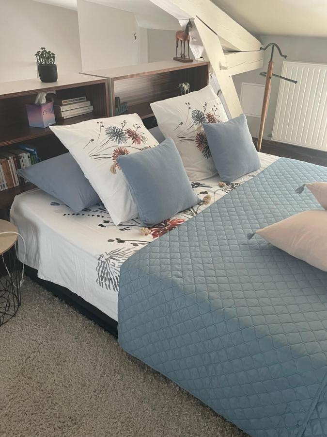 נאנסי La Suite Alain מראה חיצוני תמונה